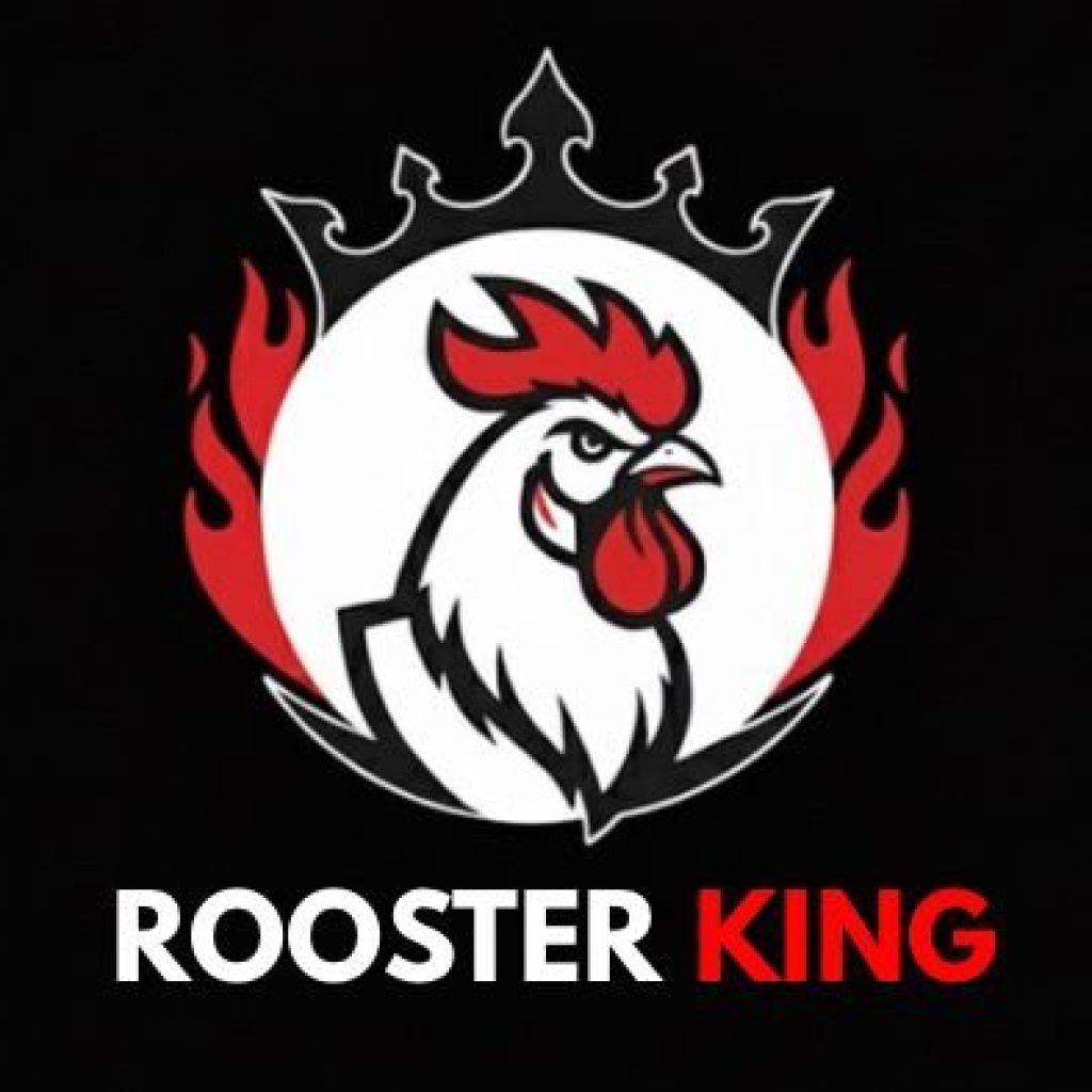 WhatsApp Image 2025-11-13 at 04.57.51_1491fb10